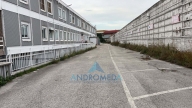 immagine annuncio 3 di 8