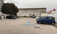 immagine annuncio 5 di 8