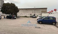 immagine annuncio 5 di 8