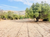 Visualizza le foto dell'immobile Visualizza le foto dell'immobile