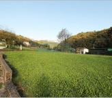 Visualizza le foto dell'immobile Visualizza le foto dell'immobile