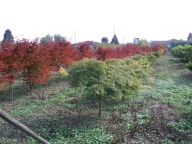 Visualizza le foto dell'immobile Visualizza le foto dell'immobile