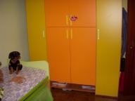 immagine annuncio 5 di 8