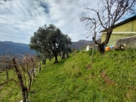 immagine annuncio 5 di 8