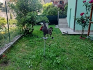Visualizza le foto dell'immobile