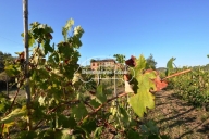 Visualizza le foto dell'immobile Visualizza le foto dell'immobile