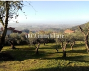 Visualizza le foto dell'immobile