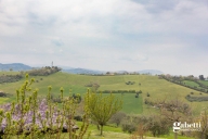 Vai alla scheda immobile Vai alla scheda immobile