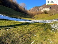 Visualizza le foto dell'immobile