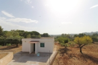 immagine annuncio 4 di 8