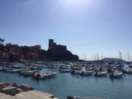 immagine annuncio 7 di 8