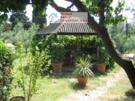 Visualizza le foto dell'immobile