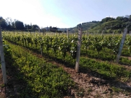 Visualizza le foto dell'immobile
