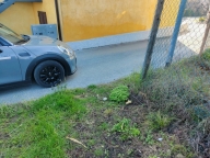 immagine annuncio 4 di 8