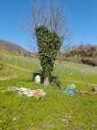 immagine annuncio 5 di 8