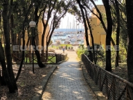 immagine annuncio 5 di 8