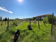 Visualizza le foto dell'immobile