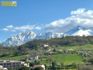 Visualizza le foto dell'immobile