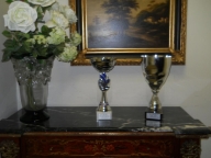 immagine annuncio 1 di 8
