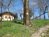 Visualizza le foto dell'immobile Visualizza le foto dell'immobile