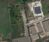 immagine annuncio 2 di 6