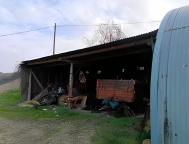 immagine annuncio 7 di 8