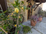 Visualizza le foto dell'immobile