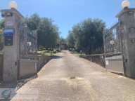 casa indipendente in vendita ad Alia