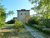 immagine annuncio 5 di 8