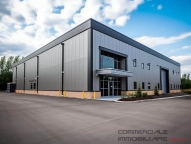 immagine annuncio 6 di 8