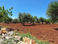 Visualizza le foto dell'immobile