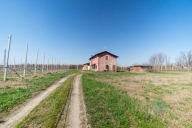 immagine annuncio 3 di 8